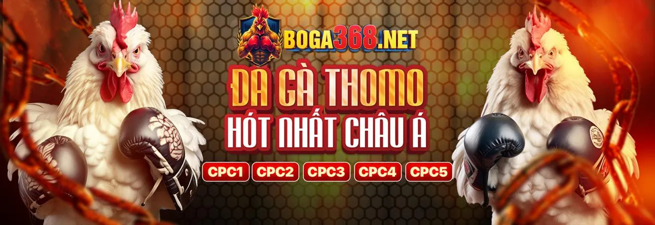 Hình ảnh chính sách bảo mật dữ liệu GDPR của xoc88 Login